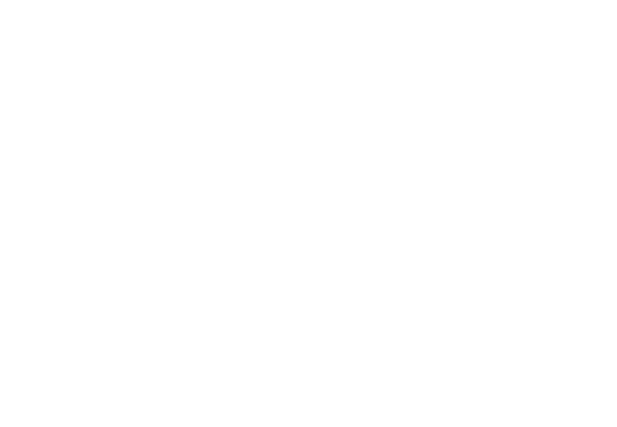 About Us magallanes logo blanco