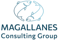 magallanes logo colores png